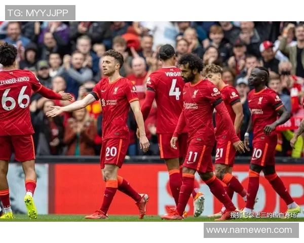 哈德斯菲与曼联对决前瞻分析及比赛结果预测